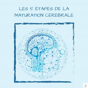 Lire la suite à propos de l’article Le Monde Fascinant du Développement du Cerveau Humain