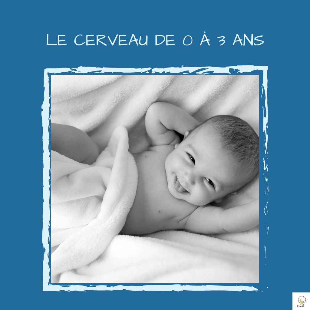 Lire la suite à propos de l’article Les Fondations de la Vie: Le Développement Cérébral de 0 à 3 ans