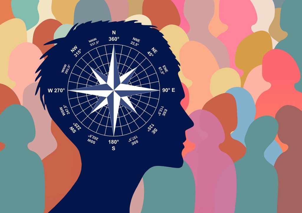 Développement du cerveau humain