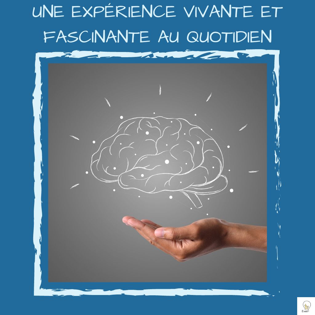 Lire la suite à propos de l’article L’Enfant et ses 3 Cerveaux