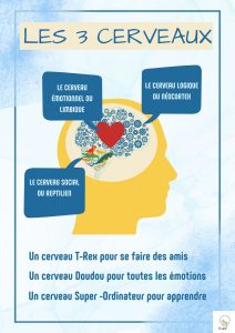 Lire la suite à propos de l’article 5 Conseils pour Développer le Cerveau de l’Enfant