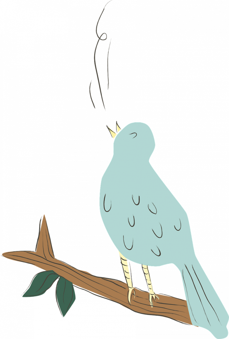 oiseau-sur-branche-chantant